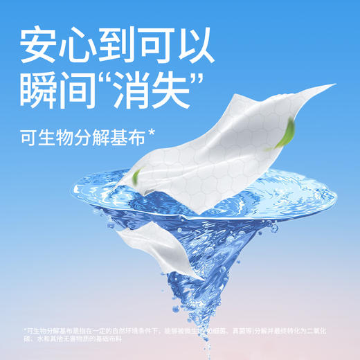无染草本精粹桃叶款湿厕纸6包 商品图2