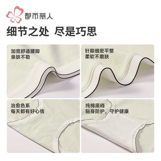 都市丽人女士内裤40支棉内裤女士平角内裤女内裤纯棉内裤LKH5N8 商品图6