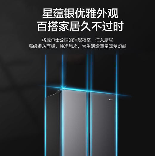 海尔（Haier）冰箱 BCD-519WLHSSEDX9 商品图6