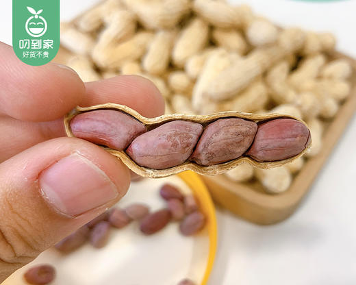 姥家莱红衣花生（茴香味）/1包（约1000g+赠250g） 商品图4