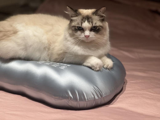 宝格丽酒店同款同专利👍6800的高奢悬浮基材枕❗️【法国Cenmir🇫🇷森米尔零压生物基贝壳枕】 商品图3