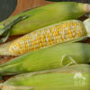 生态甜糯玉米 | 合作生产*Ecological sweet-waxy maize| Partner Production 商品缩略图0