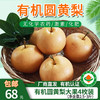 【厂商直发】小空山有机水果圆黄梨清甜多汁多规格可选包邮 商品缩略图0