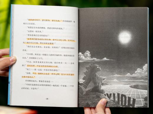 3.8折包邮《奇想文库》小学生分级阅读（全22册），横扫180多项国际大奖，哈佛、耶鲁教授力荐，全球3000万读者喜爱，11位诺奖级作家的“私教课”，每一册都是童年至宝。 商品图5