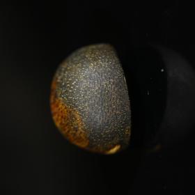 BC.RS5-8.12-5  绿棋沉水(戒指面) ，1.4g