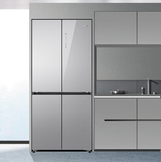 海尔（Haier）冰箱 BCD-471WGHTDEDSW 商品图9