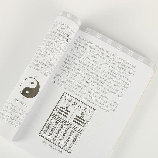 潘毅丨《寻回中医失落的元神》套装 商品图3