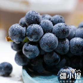 疆小提 新疆 蓝莓葡萄 肉软多汁