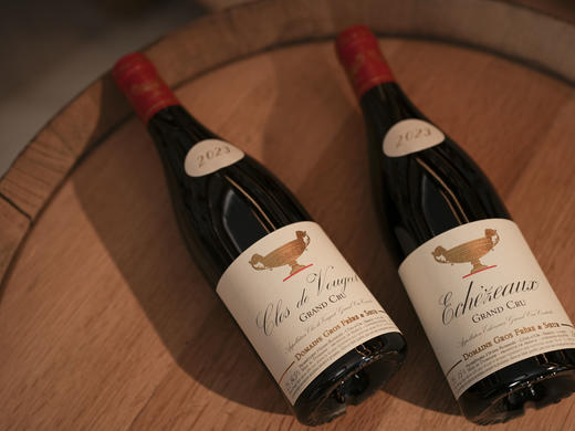 【酒桌硬通货】法国勃艮第2023年大金杯伊瑟索特级园黑皮诺干红/伏旧特级园黑皮诺干红 商品图9