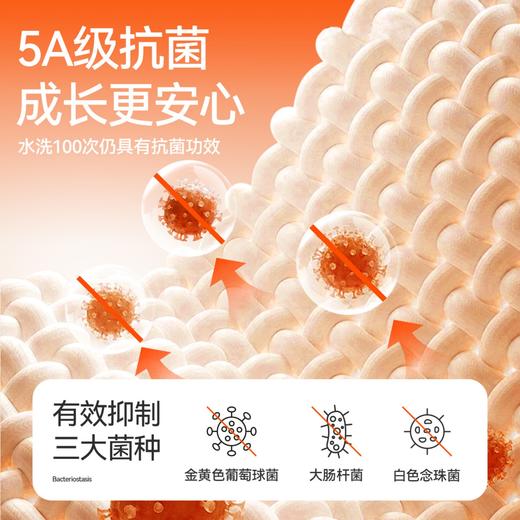 【羊绒蛋白润肤/保暖衣套装】男女童秋衣裤套装秋季新款安奈儿童装JM537533 商品图3