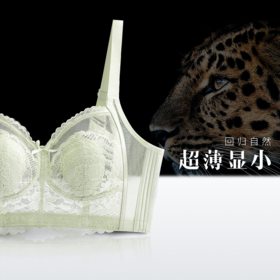 大胸版型&薄透内衣&承托显胸小