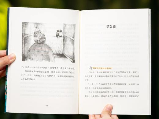 3.8折包邮《奇想文库》小学生分级阅读（全22册），横扫180多项国际大奖，哈佛、耶鲁教授力荐，全球3000万读者喜爱，11位诺奖级作家的“私教课”，每一册都是童年至宝。 商品图7