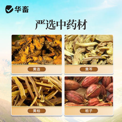 【社群专享】黄连解毒散500g 泻火解毒 抗病毒 甄选中药材 疗效更好 禽畜通用 商品图2