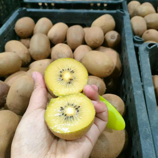 四川蒲江黄心猕猴桃 酸甜多汁 商品图2