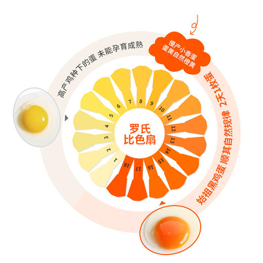 【上门自提】好念头|可生食鸡蛋|50枚 商品图5