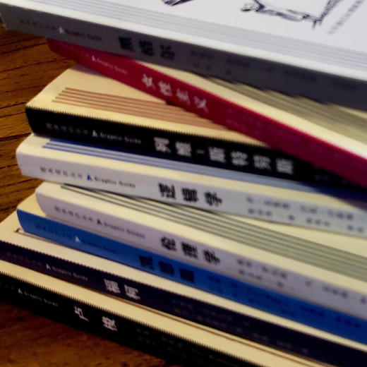 思想胶囊 图画通识丛书（全50册）三联书店旗舰店 商品图1