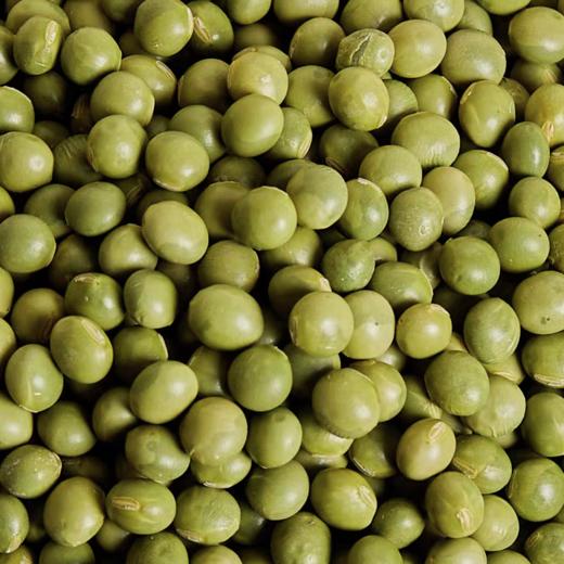 东北有机双青豆 一级青大豆 生态小镇专注有机种植 商品图1