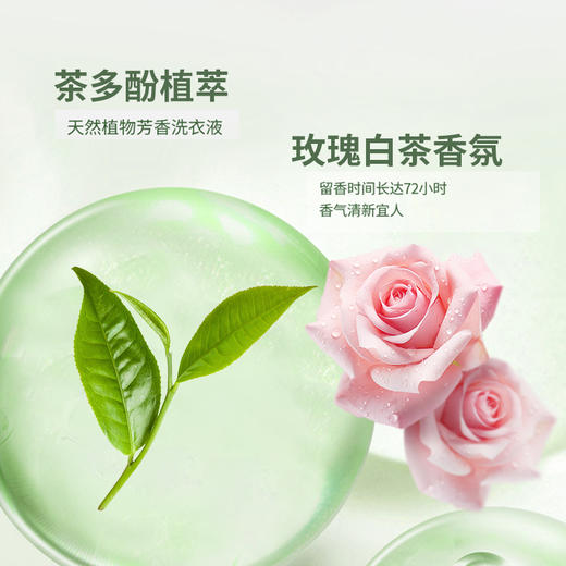 意几净茶多酚植萃净香氛洗衣液-玫瑰白茶2.08kg 84427 商品图3