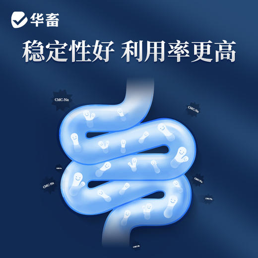 【社群专享】华畜兽药10%硫酸黏菌素可溶性粉 肠炎顽固性腹泻黄白痢，搭配白头翁疗效更好 商品图2