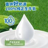 【小来】积分专享99到手超值5箱装🔥 伊利伊然 纯牛奶 甄选牧场大品牌值得信赖 200ml*10瓶/箱*5箱 商品缩略图1