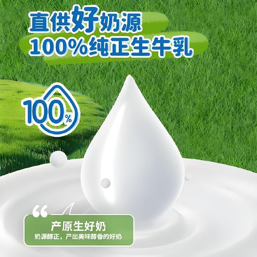 【小来】积分专享99到手超值5箱装🔥 伊利伊然 纯牛奶 甄选牧场大品牌值得信赖 200ml*10瓶/箱*5箱 商品图1