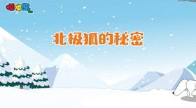 2025年7月 北极狐的秘密
