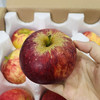 【苹果盲盒】顺丰包邮 多种苹果组合 随机发货 带来不一样的口感体验 3.5-4斤装 商品缩略图6