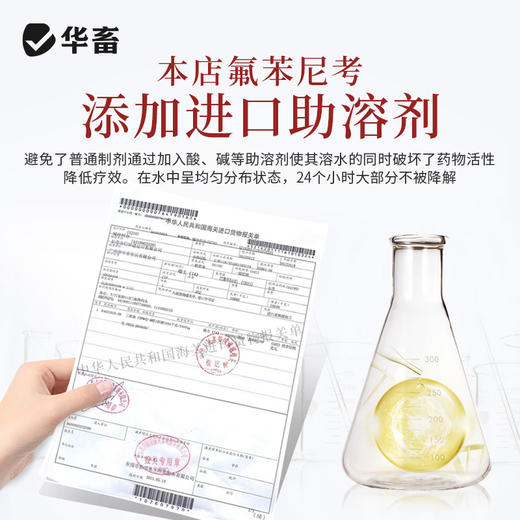 【社群专享】华畜30%氟苯尼考可溶性粉 气喘咳嗽 肺炎呼吸道药 进口溶剂 吸收更好 猪牛羊鸡药 商品图2