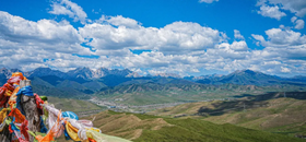 队员游记 | 天地广阔，花开祁连