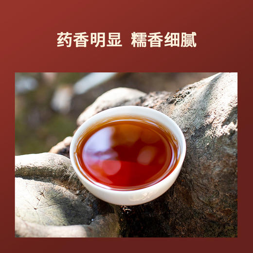 双陈普洱2025年阳光大叶普洱熟茶单泡礼盒装（2008原料）128克 商品图7