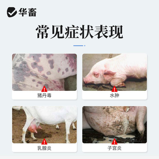 【社群专享】华畜兽药 400万注射用青霉素钠2.4g*20支 抗菌消炎 广谱药 商品图1