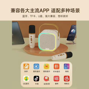 漫步者（EDIFIER）Q1C【单麦版】K歌音响 家庭KTV音箱 便携智能唱歌神器卡拉OK套装 梦幻粉 商品图5