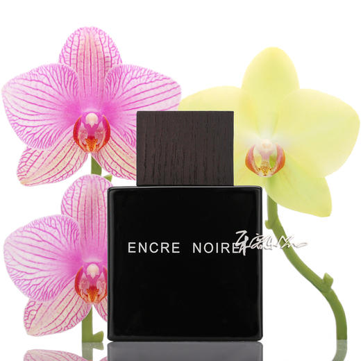 保税仓  莱俪 墨恋男士香水 运动版 馥郁版 Lalique Encre Noire 100ml 商品图2