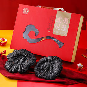 元生泰 武夷山特产  灵芝子实体礼盒 （2朵装）