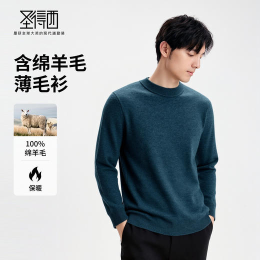 【100%绵羊毛】圣得西男士亲肤薄羊毛衫2025秋休闲百搭圆领毛衣 商品图1