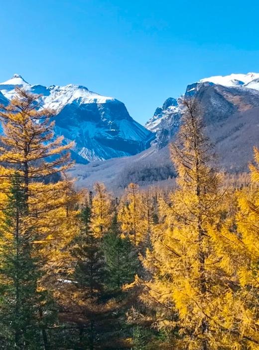 【东北】赏秋长白山夏令营 6天5晚 商品图0