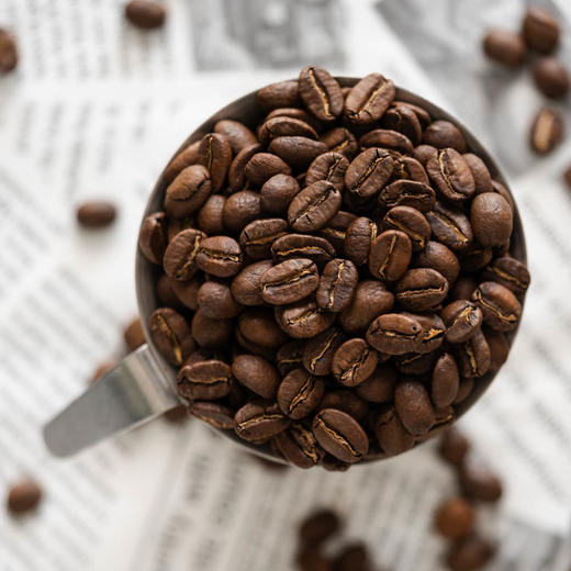 【茶馆咖啡】巴布亚新几内亚 小蓝山咖啡丨铁皮卡种A级咖啡豆，水洗豆，中度烘焙，与牙买加蓝山同根同种，质量优异，在咖啡界具有知名地位。（满90元包邮） 商品图6