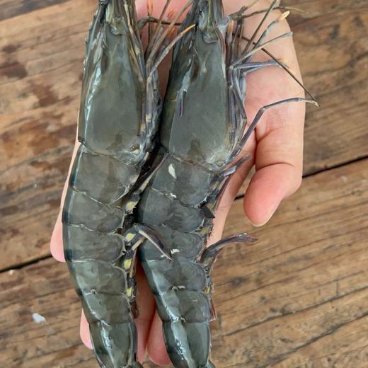 海捕黑虎虾#肉质紧实弹性，纯甜鲜口感，虾青素含量多多，世界八大名虾之一！ 商品图4