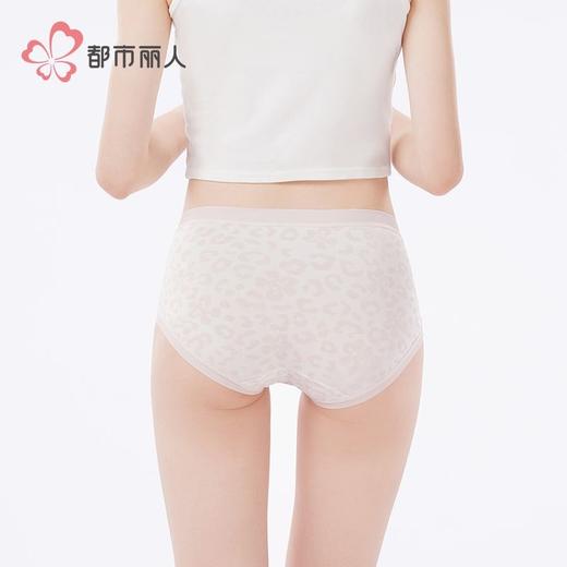 都市丽人内裤100支棉内裤女士平角内裤女内裤纯棉内裤LKH5U8 商品图3