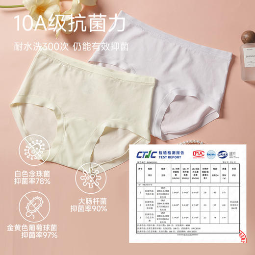 60支全棉抗菌内裤（中腰） 商品图2