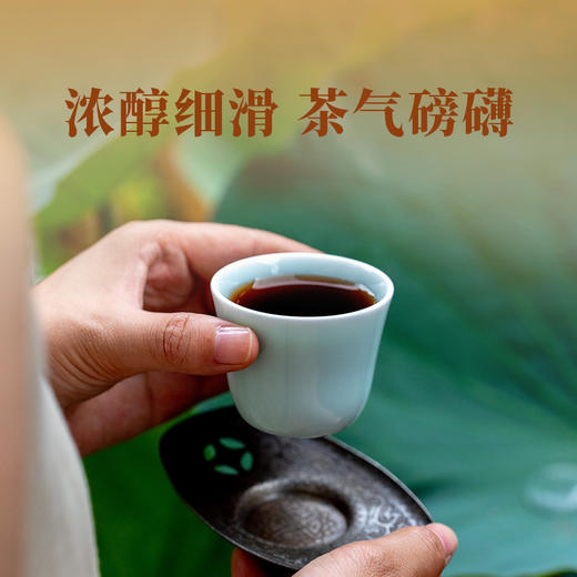 双陈普洱2025年莲饼（纪念版）熟茶金莲绽放初心可鉴 商品图1