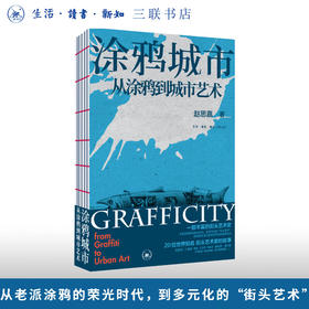涂鸦城市：从涂鸦到城市艺术 赵思嘉 著 三联书店旗舰店