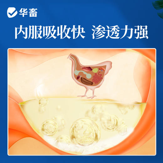 【社群专享】华畜兽药30%阿莫西林可溶性粉 进口溶剂吸收更好 猪肉鸡肉鹅通用 商品图2