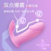 【女用器具】GALAKU 丁丁穿戴震动遥控穿戴 商品缩略图2