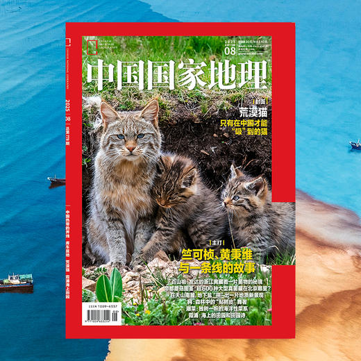 《中国国家地理》202508  荒漠猫  竺可桢 黄秉维 百山祖 帝都蘑菇图鉴 潮菜海洋菜系 霞浦海上田园 商品图1