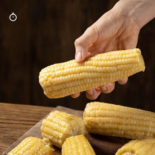 企鹅市集|山西 有机叶酸玉米 10根装（220g*10） 自然生长 3糯1甜  农科院玉米 商品图3