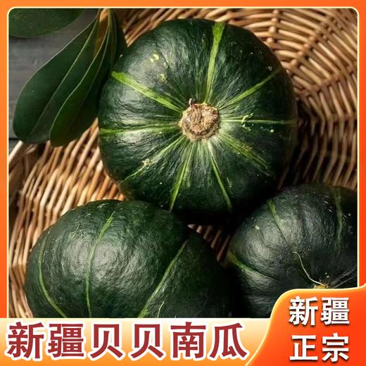 【疆品南下】 西圣丨贝贝南瓜 4.5斤装 商品图2