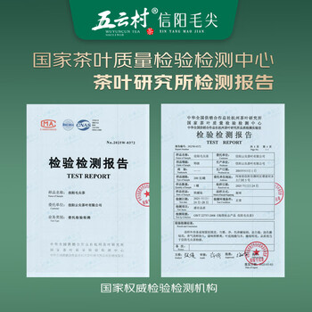 五云村2026新茶信阳毛尖500g茶叶绿茶特级春茶2罐共1斤自己喝带礼袋盒 /水饮冲调 /茗茶 /绿茶