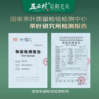 五云村新茶信阳毛尖500g茶叶绿茶特级春茶2罐共1斤自己喝带礼袋盒 /水饮冲调 /茗茶 /绿茶 商品图1