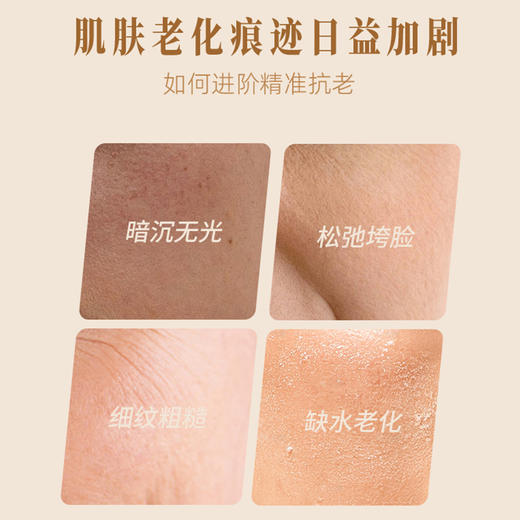 【新品活动：买2瓶 送2瓶100毫升的玫瑰纯露】玫瑰人参紧致精华液 商品图2